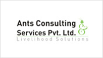 Ants Consulting & Services Private Limited